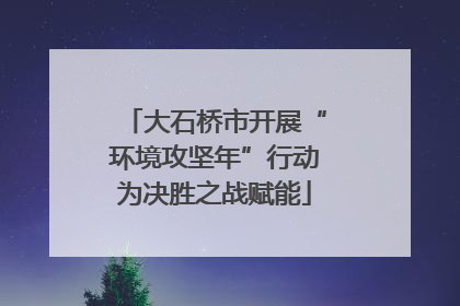 大石桥市开展“环境攻坚年”行动为决胜之战赋能