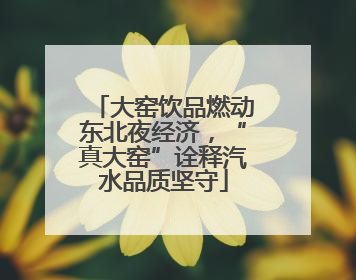 大窑饮品燃动东北夜经济，“真大窑”诠释汽水品质坚守