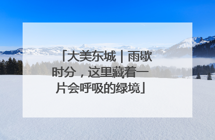大美东城｜雨歇时分，这里藏着一片会呼吸的绿境