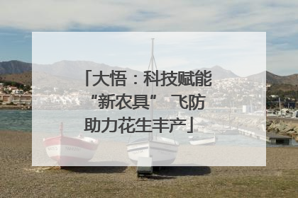 大悟：科技赋能“新农具” 飞防助力花生丰产