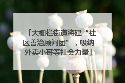 大栅栏街道将建“社区善治顾问团”，吸纳外卖小哥等社会力量