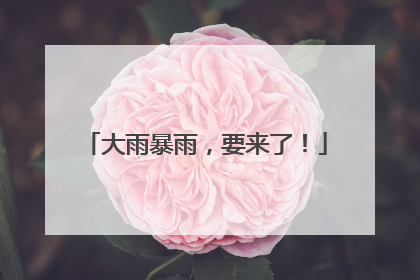 大雨暴雨，要来了！