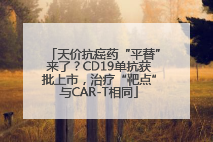 天价抗癌药“平替”来了？CD19单抗获批上市，治疗“靶点”与CAR-T相同