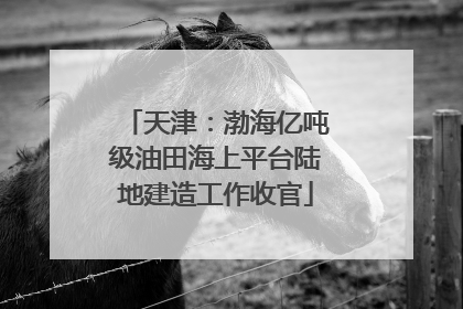 天津：渤海亿吨级油田海上平台陆地建造工作收官