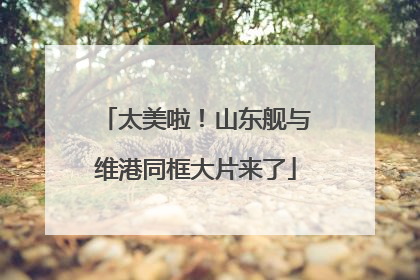太美啦！山东舰与维港同框大片来了