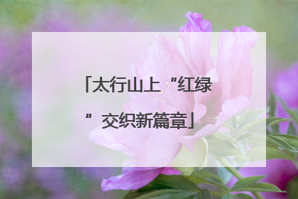 太行山上“红绿”交织新篇章