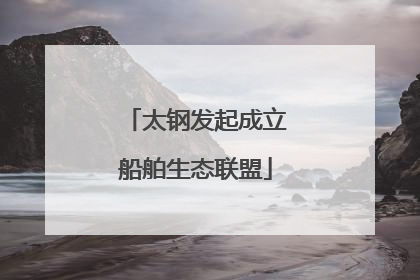 太钢发起成立船舶生态联盟