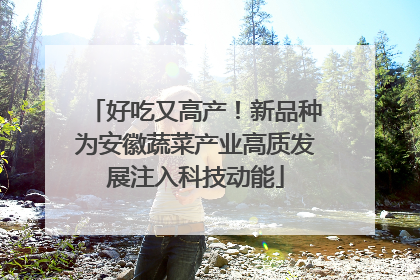 好吃又高产！新品种为安徽蔬菜产业高质发展注入科技动能