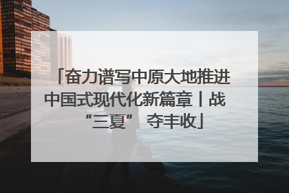 奋力谱写中原大地推进中国式现代化新篇章丨战“三夏” 夺丰收