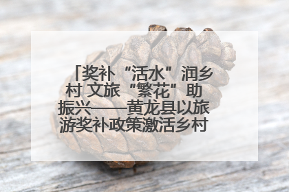 奖补“活水”润乡村 文旅“繁花”助振兴——黄龙县以旅游奖补政策激活乡村振兴新动能