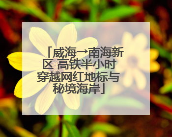 威海→南海新区 高铁半小时穿越网红地标与秘境海岸