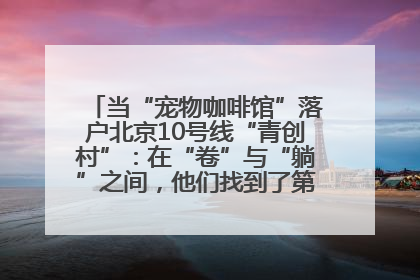 当“宠物咖啡馆”落户北京10号线“青创村”：在“卷”与“躺”之间，他们找到了第三种生活公式
