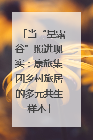 当“星露谷”照进现实：康旅集团乡村旅居的多元共生样本