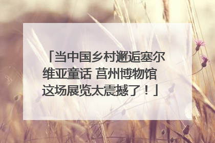 当中国乡村邂逅塞尔维亚童话 莒州博物馆这场展览太震撼了！