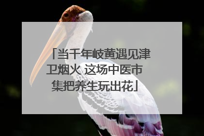 当千年岐黄遇见津卫烟火 这场中医市集把养生玩出花