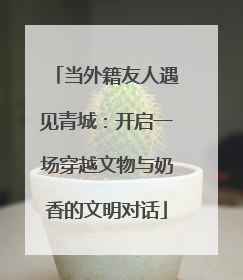 当外籍友人遇见青城：开启一场穿越文物与奶香的文明对话