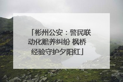彬州公安：警民联动化赡养纠纷 枫桥经验守护夕阳红