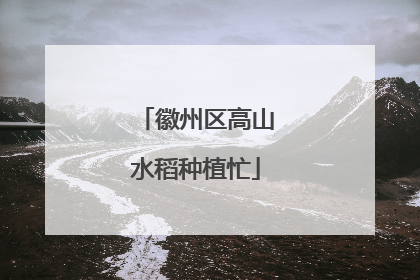 徽州区高山水稻种植忙