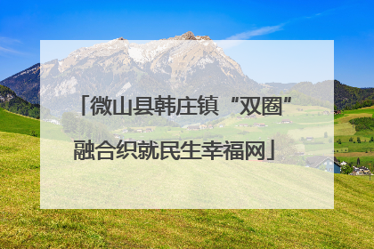 微山县韩庄镇“双圈”融合织就民生幸福网