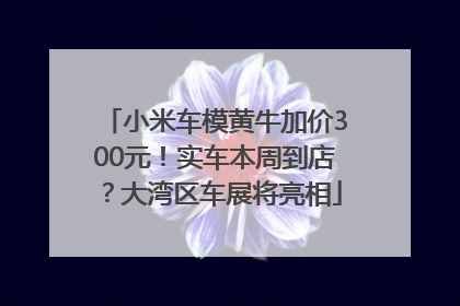 小米车模黄牛加价300元！实车本周到店？大湾区车展将亮相