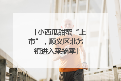 小西瓜甜蜜“上市”，顺义区北务镇进入采摘季