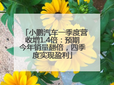 小鹏汽车一季度营收增1.4倍：预期今年销量翻倍，四季度实现盈利