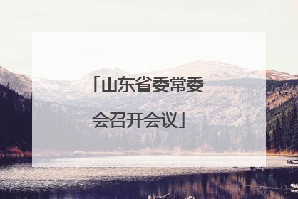 山东省委常委会召开会议