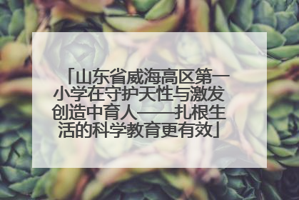 山东省威海高区第一小学在守护天性与激发创造中育人——扎根生活的科学教育更有效