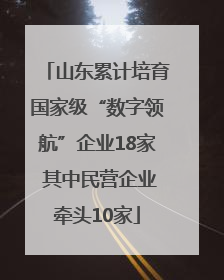 山东累计培育国家级“数字领航”企业18家 其中民营企业牵头10家