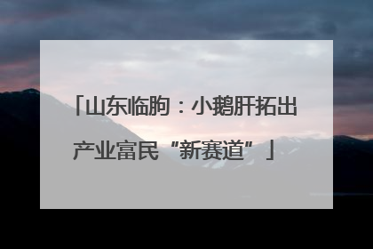 山东临朐：小鹅肝拓出产业富民“新赛道”