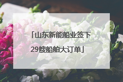 山东新能船业签下29艘船舶大订单