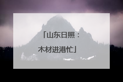山东日照：木材进港忙