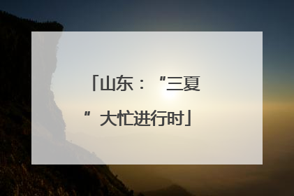 山东：“三夏”大忙进行时