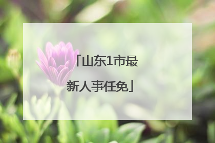 山东1市最新人事任免