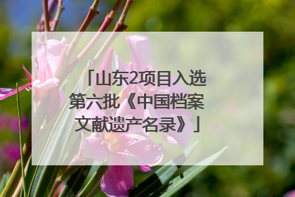 山东2项目入选第六批《中国档案文献遗产名录》