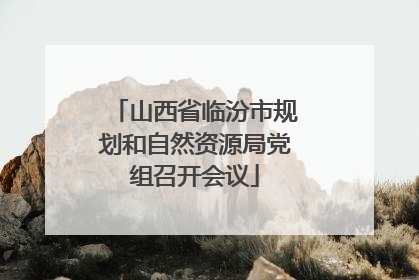 山西省临汾市规划和自然资源局党组召开会议