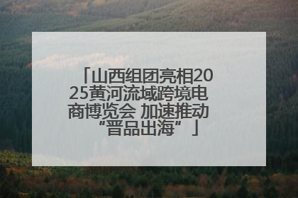 山西组团亮相2025黄河流域跨境电商博览会 加速推动“晋品出海”