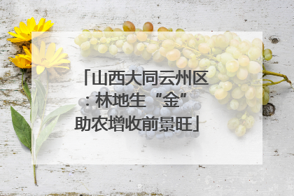 山西大同云州区：林地生“金” 助农增收前景旺