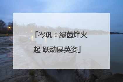 岑巩：绿茵烽火起 跃动展英姿