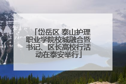岱岳区 泰山护理职业学院校城融合暨书记、区长高校行活动在泰安举行