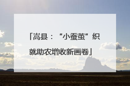 嵩县：“小蚕茧”织就助农增收新画卷