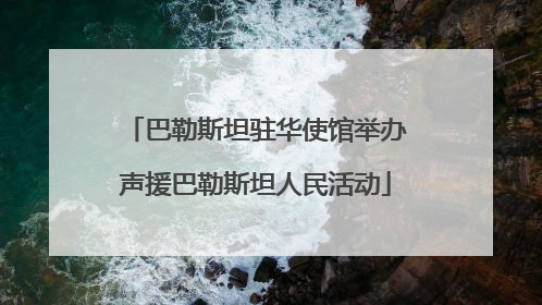 巴勒斯坦驻华使馆举办声援巴勒斯坦人民活动