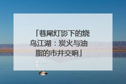 巷尾灯影下的烧鸟江湖：炭火与油脂的市井交响