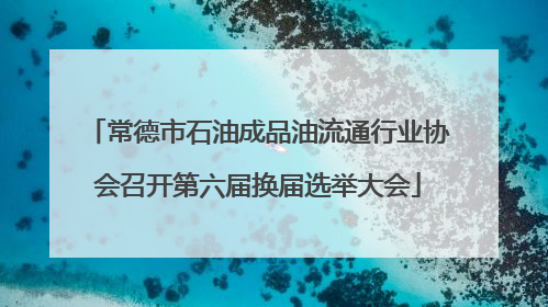 常德市石油成品油流通行业协会召开第六届换届选举大会