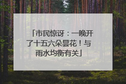 市民惊讶：一晚开了十五六朵昙花！与雨水均衡有关