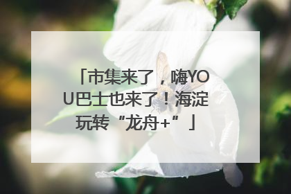 市集来了，嗨YOU巴士也来了！海淀玩转“龙舟+”