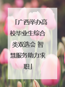 广西举办高校毕业生综合类双选会 智慧服务助力求职