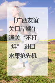 广西友谊关口岸端午通关“不打烊” 进口水果抢先机
