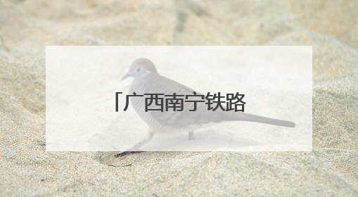 广西南宁铁路部门打造数字化排查体系 保障汛期运输安全