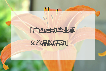 广西启动毕业季文旅品牌活动